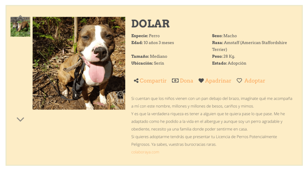 Una descripción de Amigos del Perro
